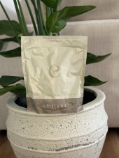 Vegan PROTEIN vanilka 500g
