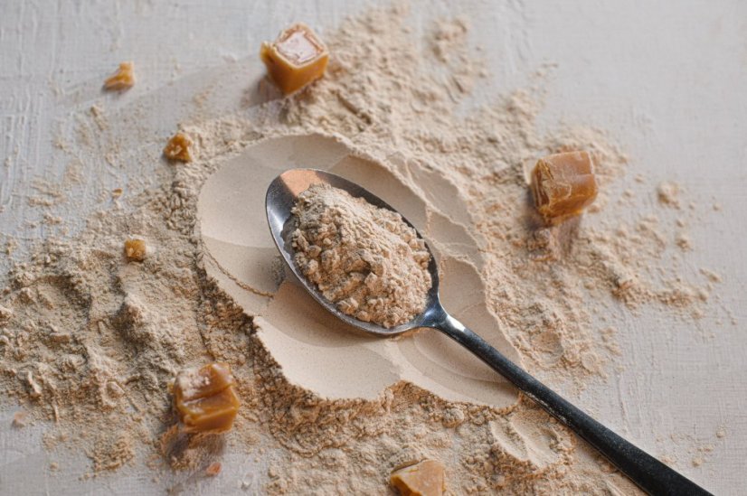 Vegan PROTEIN karamel cookie 500g