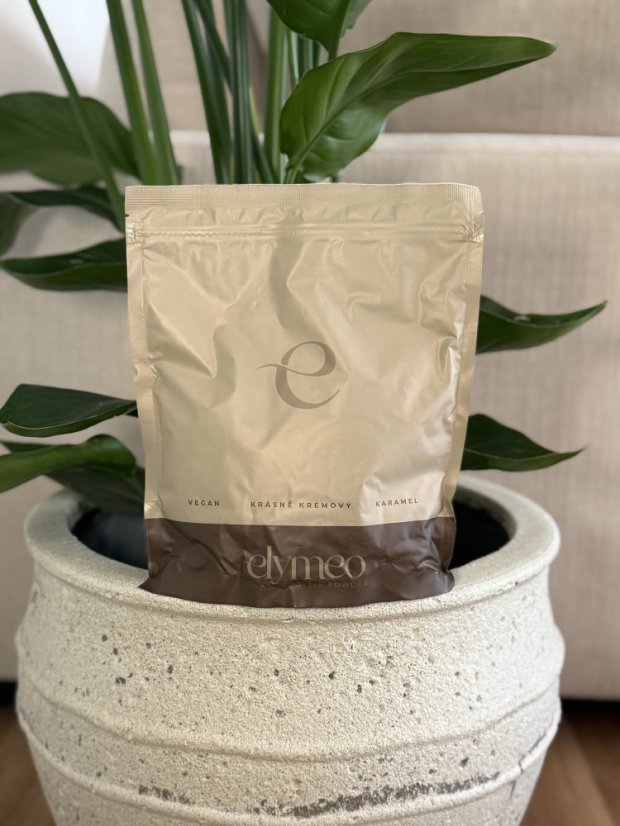 Vegan PROTEIN karamel cookie 500g