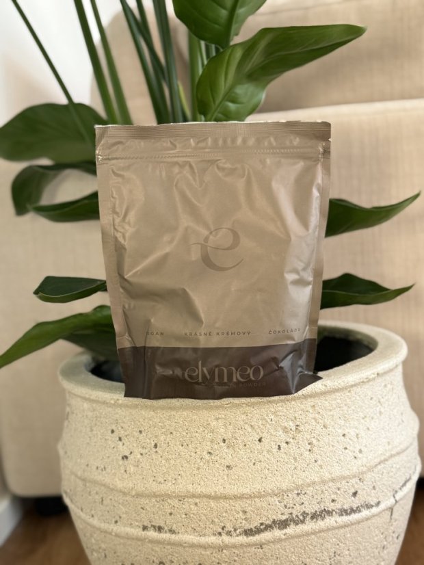 Vegan PROTEIN čokoláda 500g