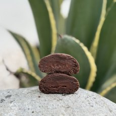 Proteinové cookie lískový oříšek + čokoládová náplň 40g